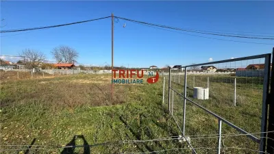 Teren de vânzare 1067 mp în Partoș - foto 3