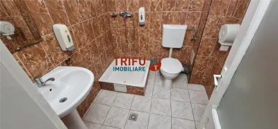 Casa de vanzare 9 camere 878 mp teren zona Barabant - foto 14