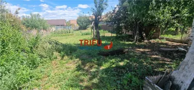 Casă 3 camere cu 733 mp teren la asfalt zona în cartierul Micești - foto 11