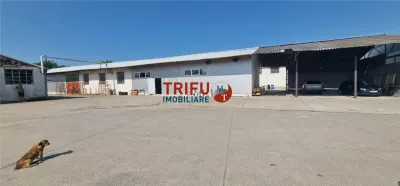 Oportunitate de investiție spațiu industrial în Centru Alba Iulia cu afacere la cheie - foto 3