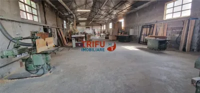 Oportunitate de investiție spațiu industrial în Centru Alba Iulia cu afacere la cheie - foto 7