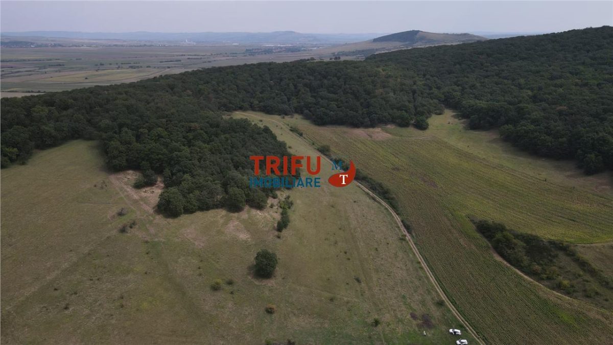 Teren cu priveliște și pădure pentru cabane de vânzare în suprafață de 5 ha - Sard