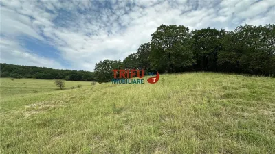 Teren cu priveliște și pădure pentru cabane de vânzare în suprafață de 5 ha - foto 11