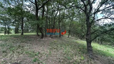 Teren cu priveliște și pădure pentru cabane de vânzare în suprafață de 5 ha - foto 13