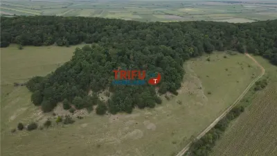 Teren cu priveliște și pădure pentru cabane de vânzare în suprafață de 5 ha - foto 3