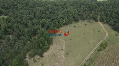 Teren cu priveliște și pădure pentru cabane de vânzare în suprafață de 5 ha - foto 5