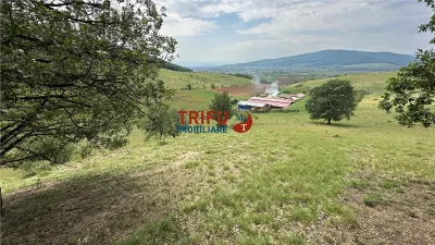 Teren cu priveliște și pădure pentru cabane de vânzare în suprafață de 5 ha - foto 9