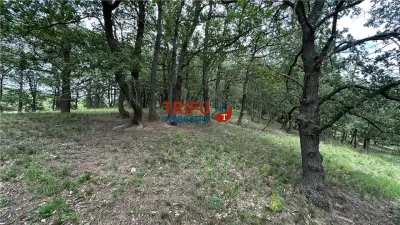 Teren cu priveliște și pădure pentru cabane de vânzare în suprafață de 5 ha - foto 10