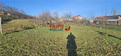 Oportunitate de Investiție: Teren Intravilan în Paclisa, Alba Iulia - foto 2