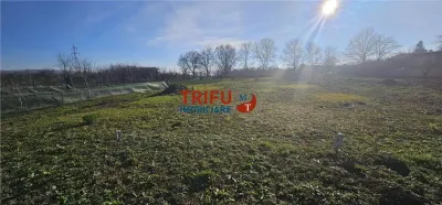 Oportunitate de Investiție: Teren Intravilan în Paclisa, Alba Iulia - foto 4
