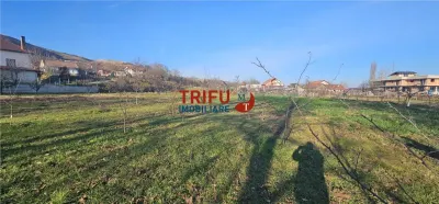 Oportunitate de Investiție: Teren Intravilan în Paclisa, Alba Iulia - foto 8