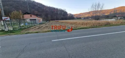 Teren Intravilan în Ampoița 1000mp - foto 3