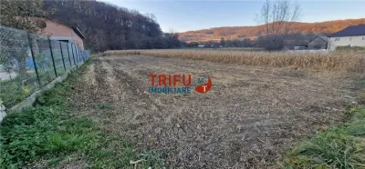 Teren Intravilan în Ampoița 1000mp - foto 10