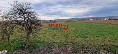 Teren 2160mp în  Partoș - foto 11