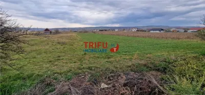 Teren 2160mp în  Partoș - foto 3