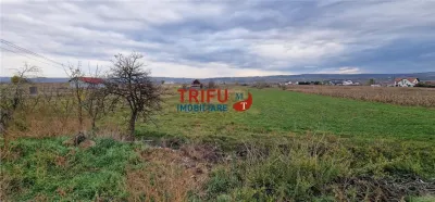 Teren 2160mp în  Partoș - foto 9
