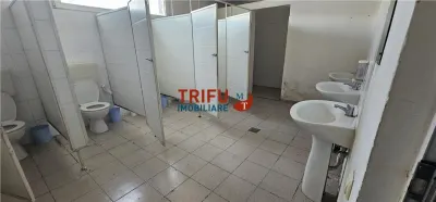 Hală industrială de închiriat în Sebeș  depozitare sau producție - foto 6