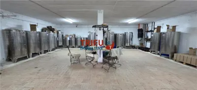 Casă primitoare și Cramă premiată „la cheie” în zona viticolă Cricău - foto 21