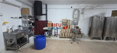 Casă primitoare și Cramă premiată „la cheie” în zona viticolă Cricău - foto 22