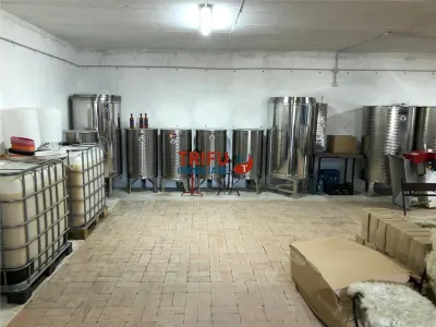 Casă primitoare și Cramă premiată „la cheie” în zona viticolă Cricău - foto 23