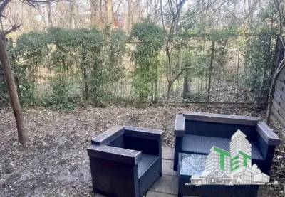 Vila cu 7 camere de închiriat în Floreasca - foto 1
