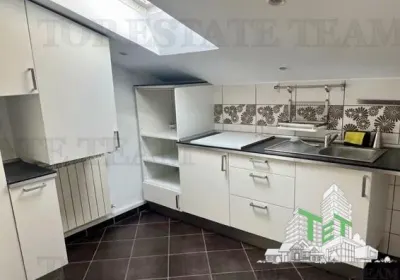 Vila cu 7 camere de închiriat în Floreasca - foto 4