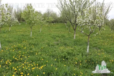 Teren intravilan, 3481mp,  gaza, apa, curent din retea publica,, drum principal asfaltat, in Comuna Loamnes, langa Sibiu - foto 7