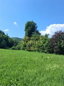 TEREN INTRAVILAN DE VANZARE CERDAC - Cerdac