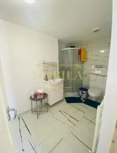SPATIU COMERCIAL DE VANZARE PTR BUSSINES CU VENITURI IMEDIATE   IN EXCLUSIVITATE ONESTI - foto 15