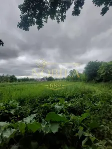 TEREN DE VANZARE IN EXCLUSIVITATE IN ONESTI PE STRADA REDULUI 7028 MP - foto 4