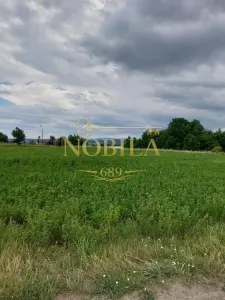 Teren intravilan de vanzare in Tg Trotus - Targu Trotus
