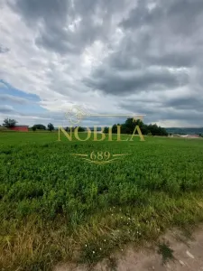 Teren intravilan de vanzare in Tg Trotus - foto 3