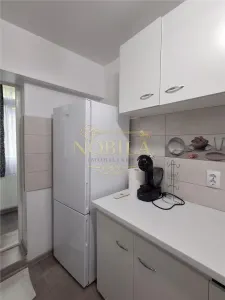 APRTAMENT DE VANZARE 2 CAMERE PARTER SLANIC MOLDOVA - foto 10