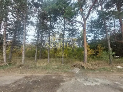 TEREN DE VANZARE 2000 MP IN VECINATATEA RAFO CU DESHIDERE LA SOSEAUA INDUSTRIILOR - Onesti