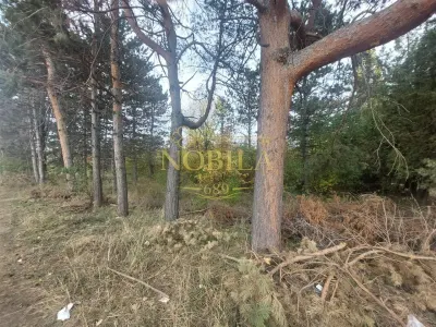 TEREN DE VANZARE 2000 MP IN VECINATATEA RAFO CU DESHIDERE LA SOSEAUA INDUSTRIILOR - foto 5