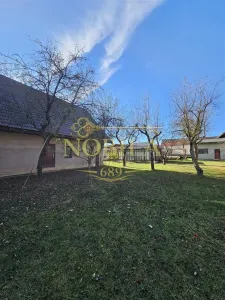 CLADIRI + 1 HA TEREN DE VANZARE PENTRU DEZVOLTARE BUSSINES - CAZARI, AGREMENT, AZIL, CAZINO IN ONESTI - foto 19