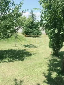 CLADIRI + 1 HA TEREN DE VANZARE PENTRU DEZVOLTARE BUSSINES - CAZARI, AGREMENT, AZIL, CAZINO IN ONESTI - foto 3