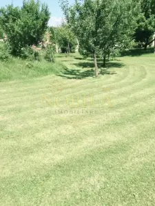 CLADIRI + 1 HA TEREN DE VANZARE PENTRU DEZVOLTARE BUSSINES - CAZARI, AGREMENT, AZIL, CAZINO IN ONESTI - foto 4