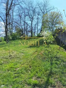 TEREN DE INCHIRIAT  500 MP  Calea Marasesti - foto 2