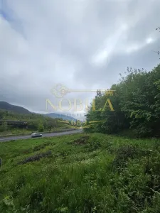 TEREN  PENTRU BUSSINESS 2842 MP DE VANZARE IN STATIUNEA  TARGU OCNA - foto 4