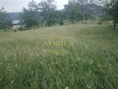 TEREN 2695 MP de vanzare in Statiunea TG OCNA - foto 3