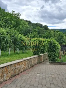 CASA P + M  1 GARSONIERA SI TEREN DE VANZARE IN TARGU OCNA - foto 16