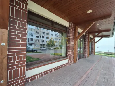 SPATIU COMERCIAL DE INCHIARIAT ZONA DE SUS ONESTI - foto 2