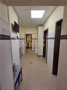 SPATIU COMERCIAL DE INCHIARIAT ZONA DE SUS ONESTI - foto 13
