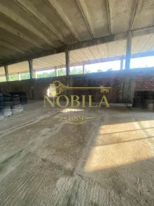 CLADIRE INDUSTRIALA 3500 mp  SI TEREN 10.000 MP DE VANZARE CASIN - foto 8