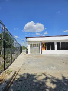 CLADIRE INDIVIDUALA ( SPATIU COMERCIAL) CU TEREN DE VANZARE IN ONESTI - foto 6