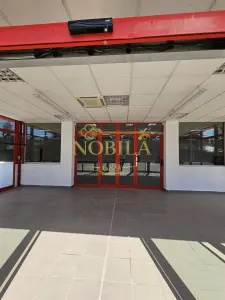 CLADIRE INDIVIDUALA ( SPATIU COMERCIAL) CU TEREN DE VANZARE IN ONESTI - foto 9