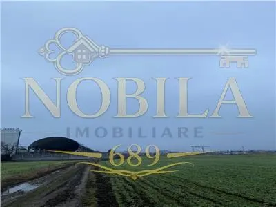 Teren Intravilan 28.000 mp în Onesti – pentru Investitii Industriale si  Comerciale! - foto 3