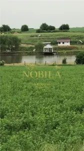 DOMENIU,13 HA TEREN(7,7 HA LUCIU DE APA,3 BALTI ,CABANE,PONTON,CAMPING RULOTE) - foto 19