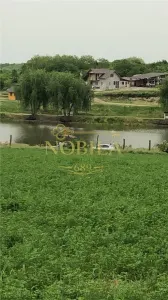 DOMENIU,13 HA TEREN(7,7 HA LUCIU DE APA,3 BALTI ,CABANE,PONTON,CAMPING RULOTE) - foto 22